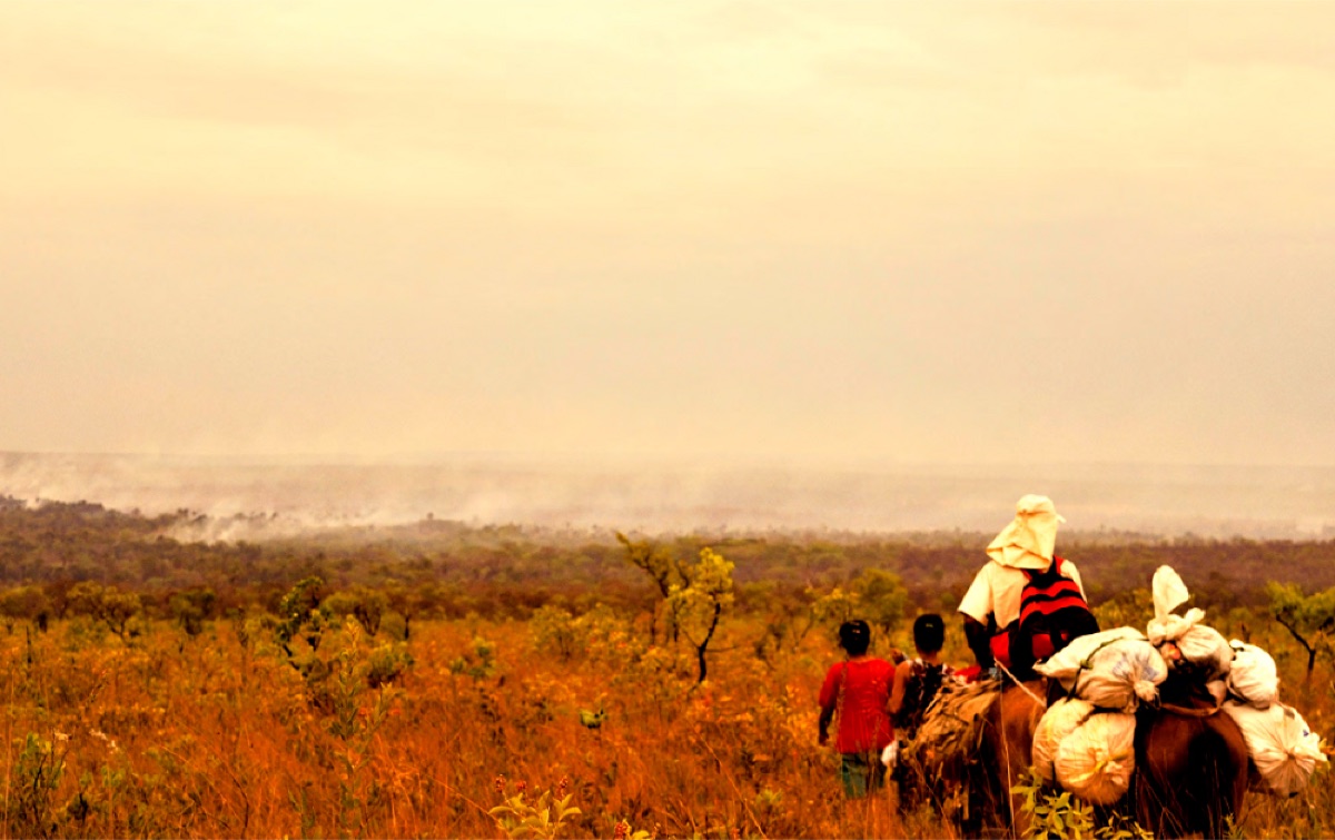 Quilombolas do Cerrado — Nexo