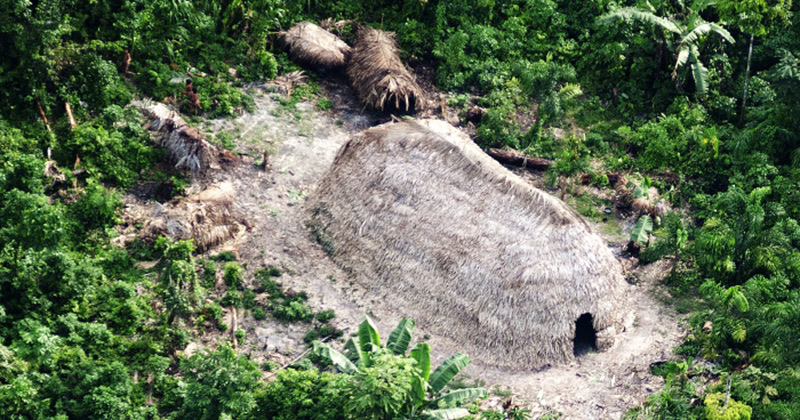 Jornal da USP — Biodiversidade